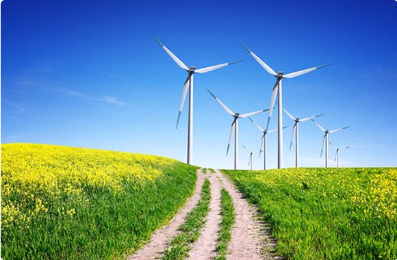 eco